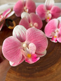 Porta Guardanapo - Orquídea Rosa