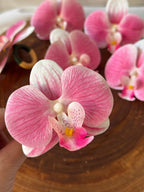 Porta Guardanapo - Orquídea Rosa